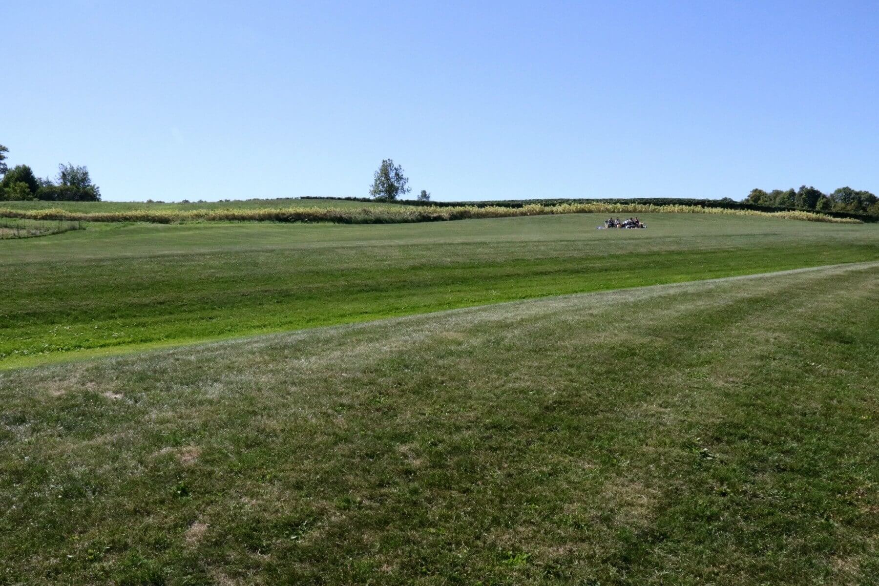 Sheldrake Point Winery is a lovely spot to sip wine on a sunny day! 