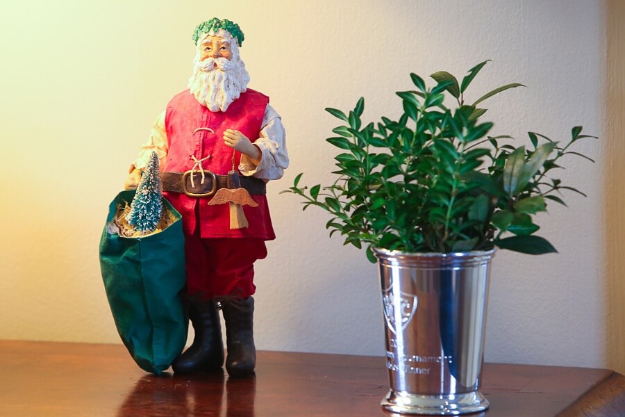 Mint julep cups filled with boxwood clippings are an easy way to add greenery to your favorite holiday Santa.