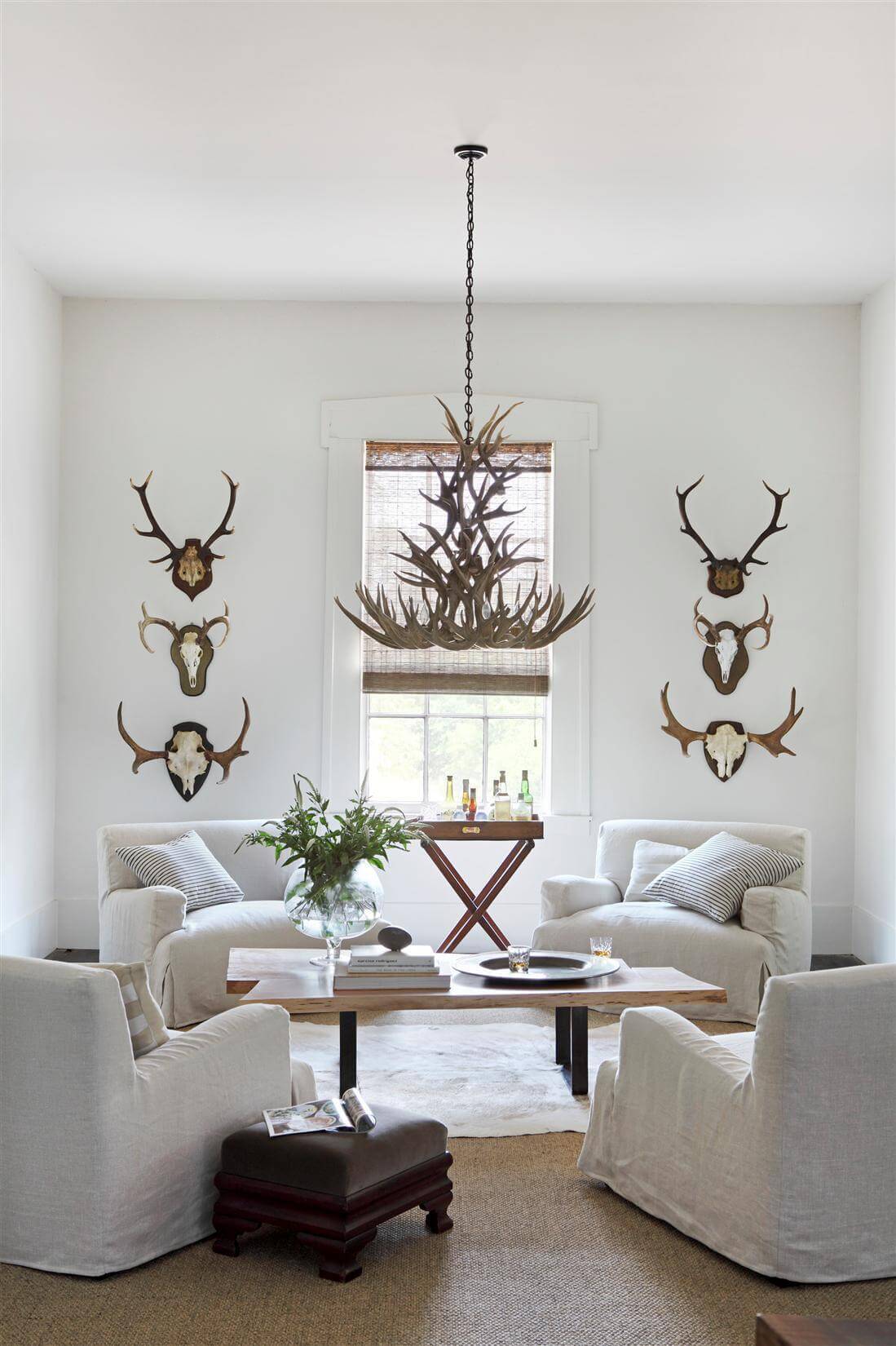 The modern custom cherrywood slab coffee table and cream-colored Verellan chairs allow the antique antlers and antler chandelier to take center stage. Image: William Abranowicz