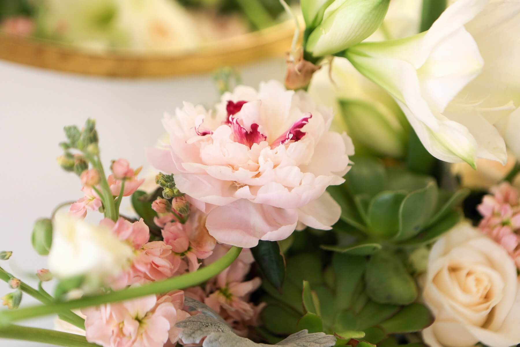 We are here to help you with Valentine's Day entertaining tips.
