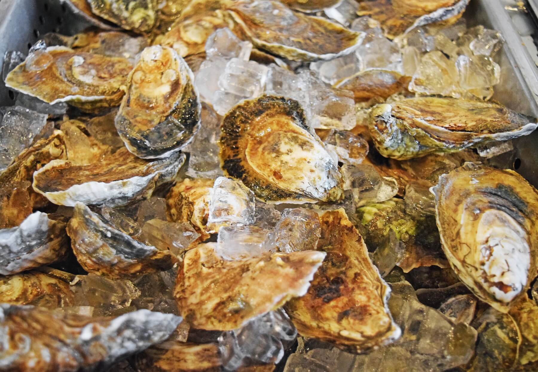 Raw oysters are kept chilled on ice until ready to serve. Raw oysters are kept chilled on ice until ready to serve.