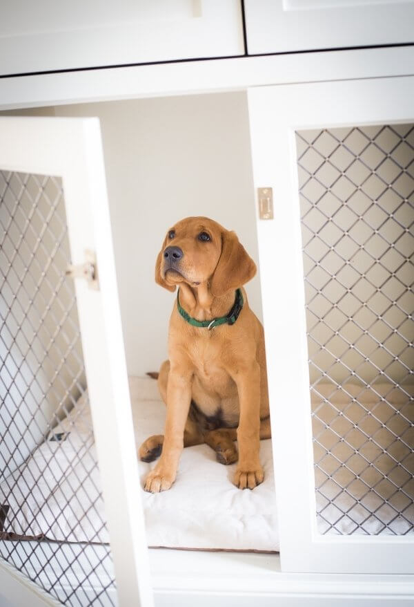 Built-in kennel