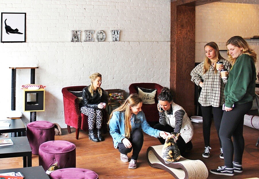 The cheeky Pounce (a “cat café and wine bar,” the first in the south) https://www.pouncecatcafe.com/ lets you grab a beverage while hanging out with their house cats. A sign out front says: “Live nude cats! Purr-fect Kitties, $15 lap dances.” Image: Lisa Mowry