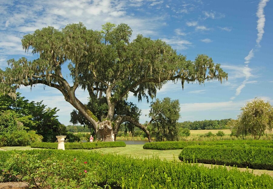 The gardens and grounds at https://www.middletonplace.org/ are some of the oldest in the country, and have been called “The most interesting and important garden in America” by The Garden Club of America. Image: Middleton Place.