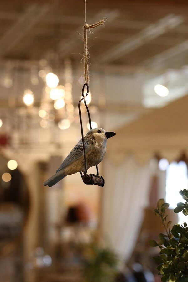 Spruce Up Your Home for Spring