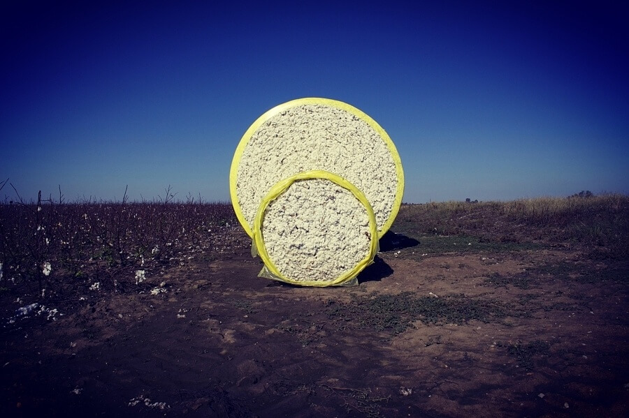 Cotton bales are big and beautiful at once. Come fall, they can be found in abundance on the land near the gigantic Wilson cotton gin.