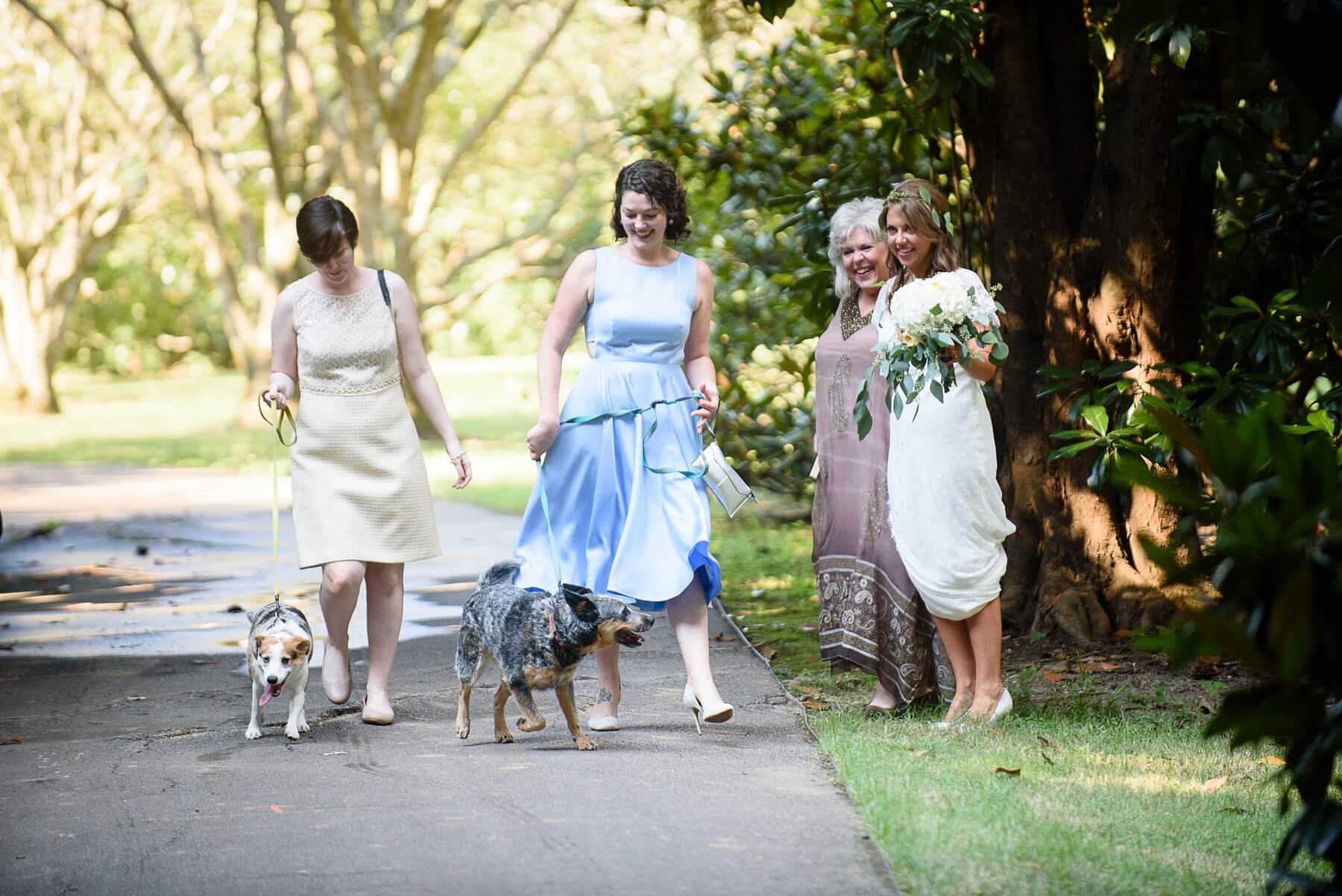 John and Chelsea chose not to have attendants, however they could not have a wedding ceremony without their beloved dogs, Pippa and Sadie, escorted by the groom’s sisters, Susan and Marie Ryall. 