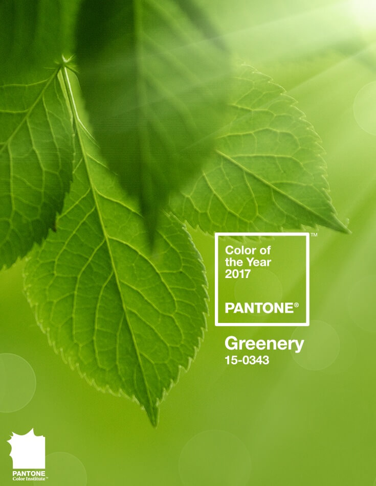 Pantone color of the year: Greenery