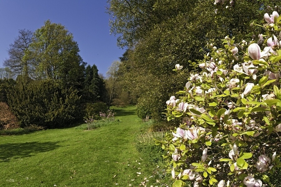 Fertility is a big part of caring for trees and bringing them back to full health and vigor. Fertility is a big part of caring for trees and bringing them back to full health and vigor.