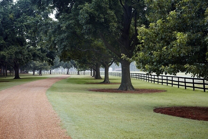 A Southern City Revival: Breathing New Life Into Wilson, Arkansas