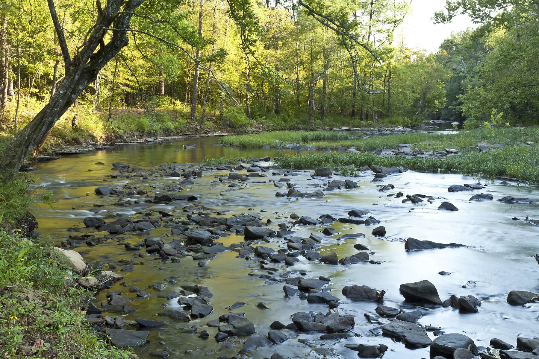 Sounds of the babbling brook set a tranquil tone as the home's backdrop.