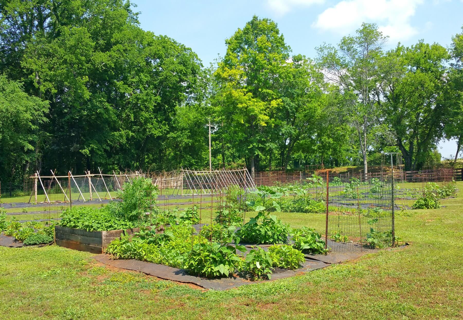 The garden was recently planted and will begin to yield its crops and blooms soon. The garden was recently planted and will begin to yield its crops and blooms soon.