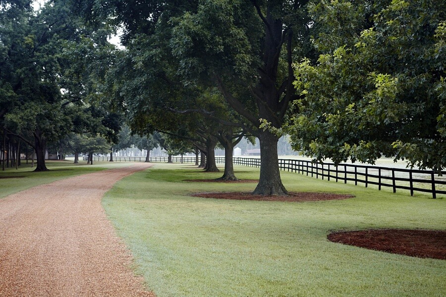 A long gravel drive leads you past a dense walnut grove, and you eventually arrive at The White House at Wilson. Image: 