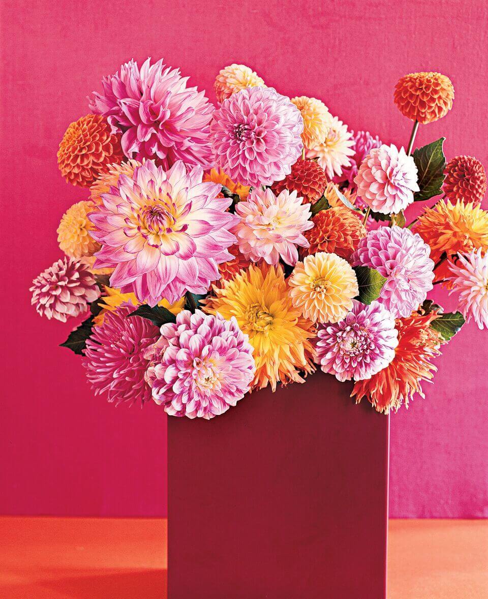 Bright and bold dahlias are a completely showstopping centerpiece! Image: Monica Buck