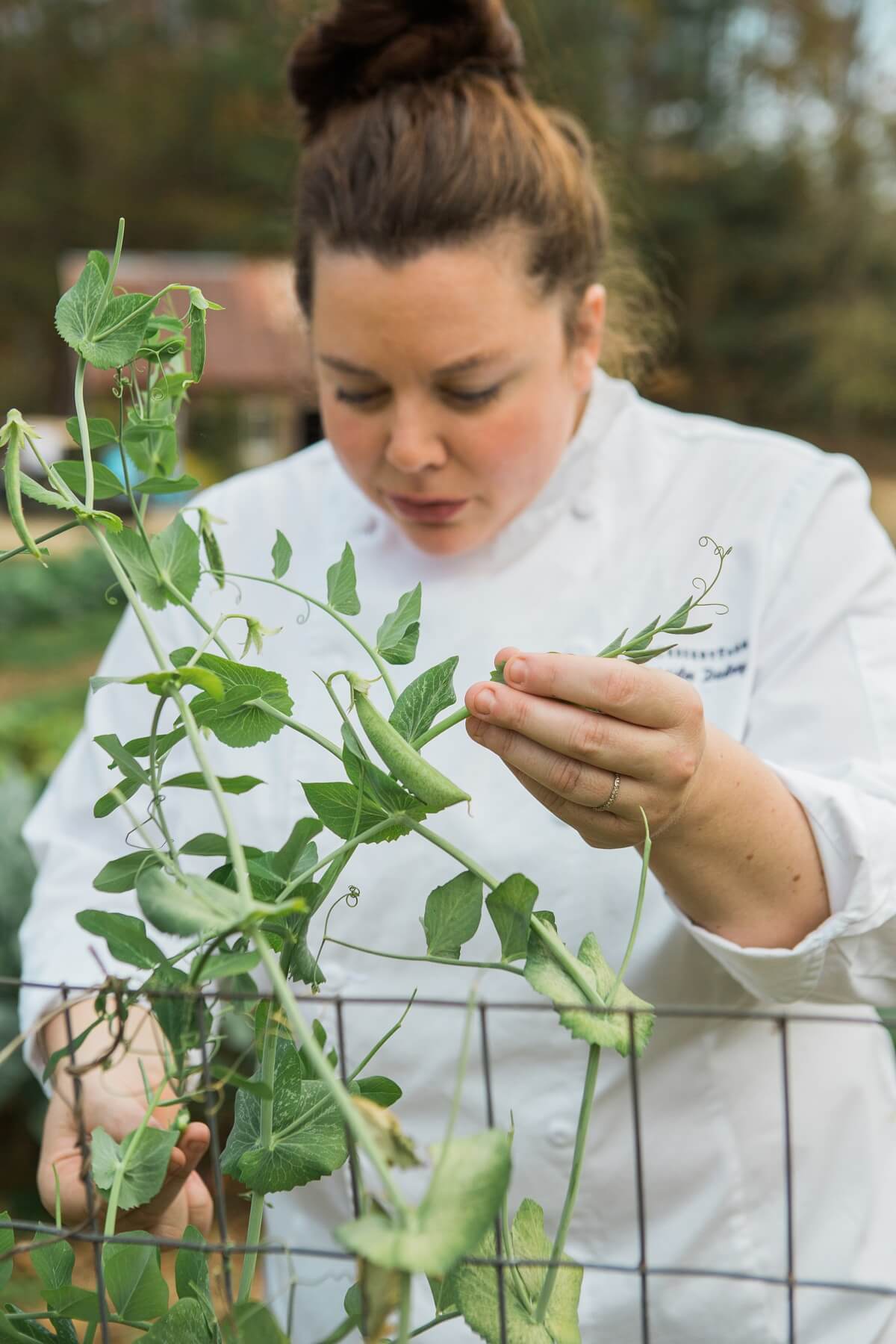 "My dad was a wildlife biologist, and I geek out over plants, woods and all that subject matter," says Cassidee.
