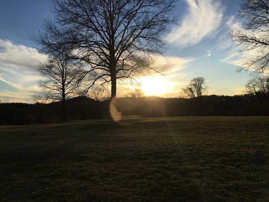 Take a stroll (or jog) around the greenway in McCabe Park! 