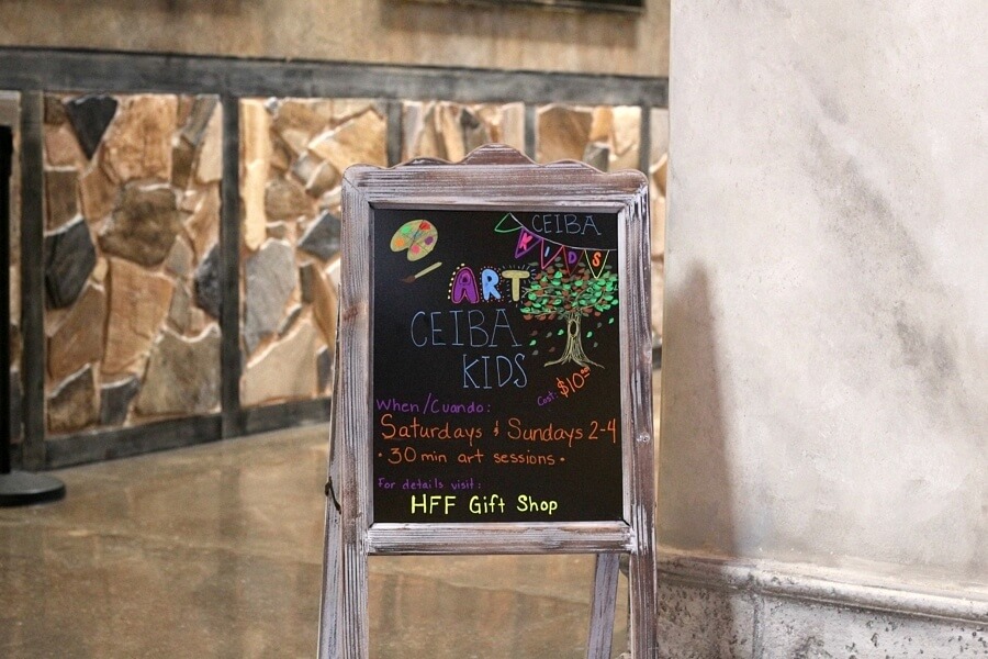 Welcome to Plaza Mariachi! 