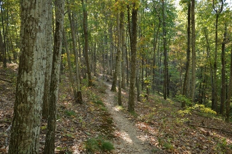 A guide to Nashville parks! 