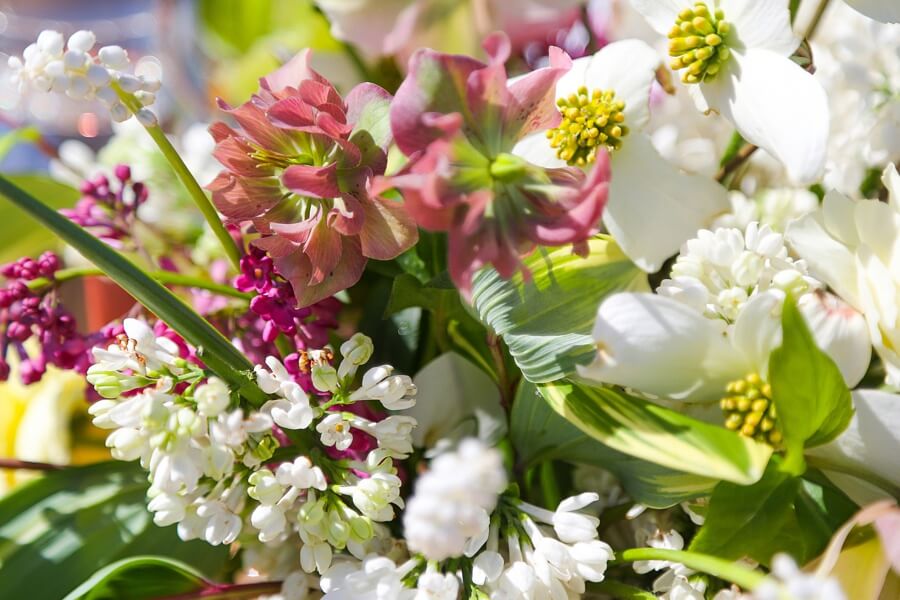 A close up of the beautiful flowers that filled the vases! 