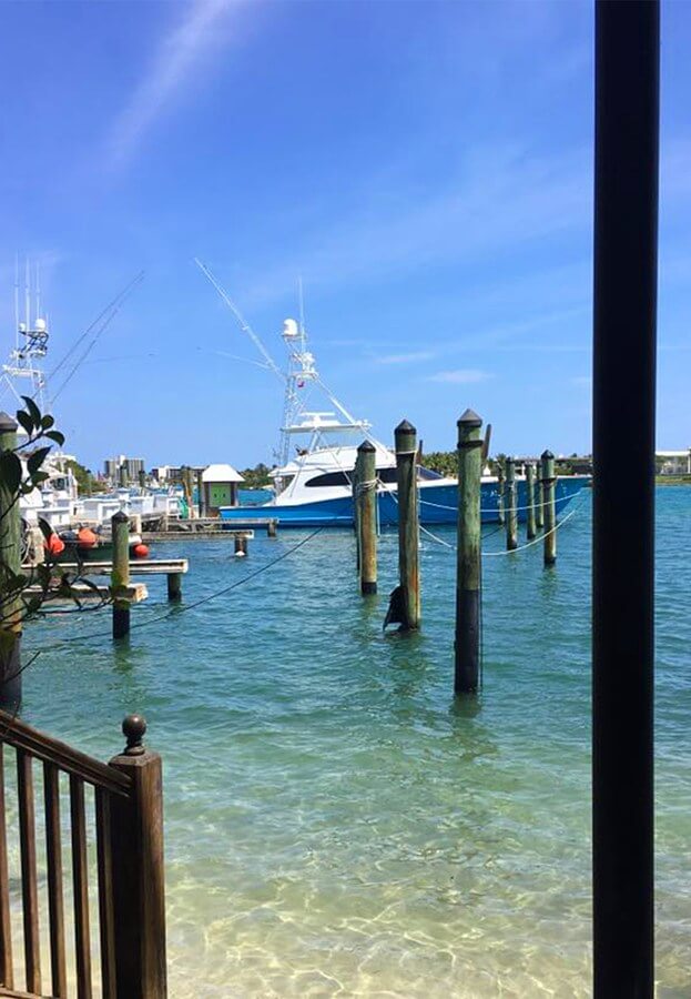 Enjoy a harbor-side lunch at the Square Grouper.