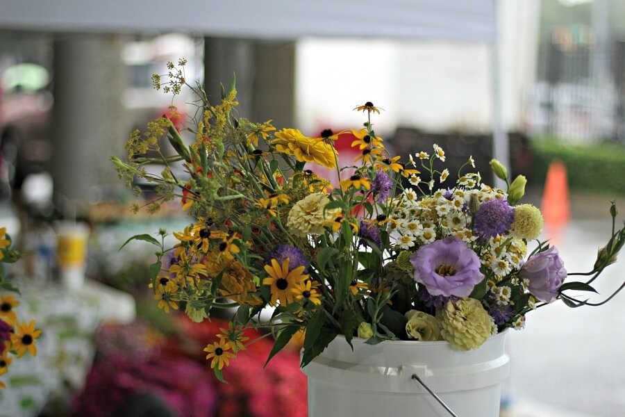The lisianthus at Whites Creek Flower Farm caught our eye! 