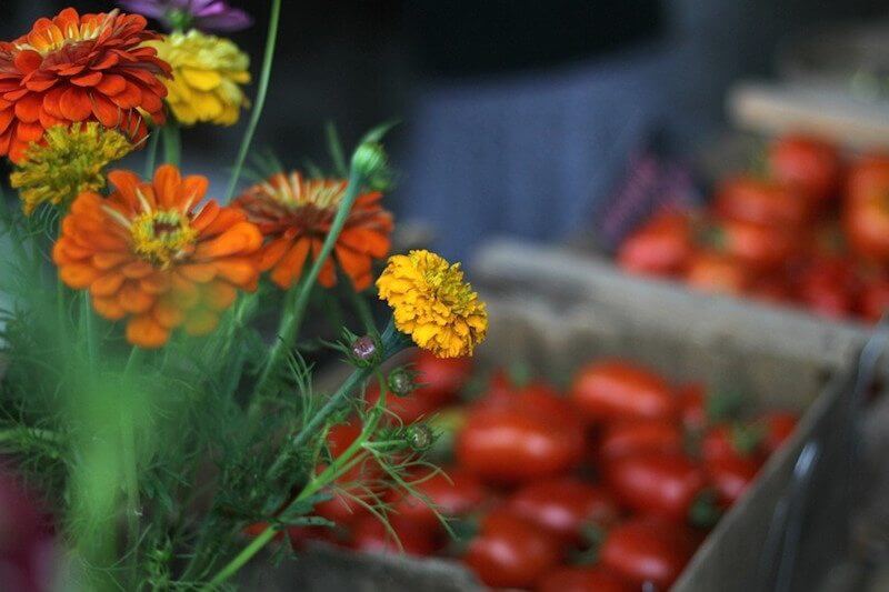 An Insider’s Guide to the Nashville Farmers’ Market