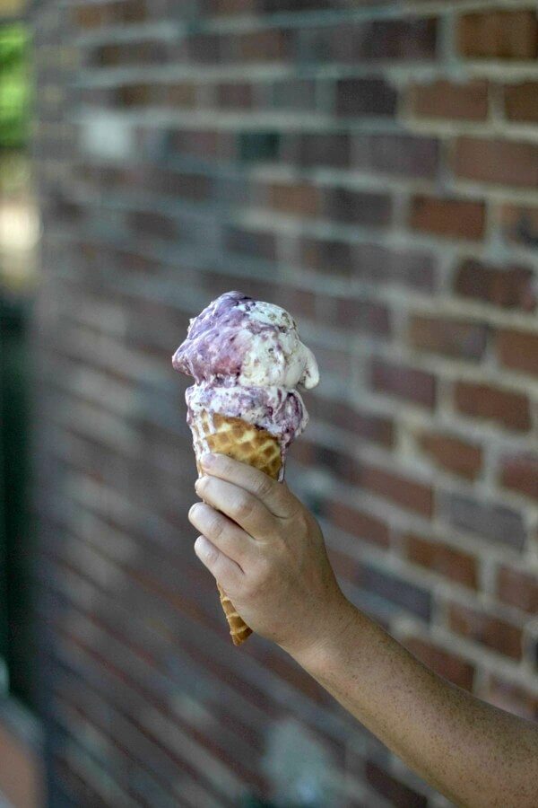 SB JenisIceCream