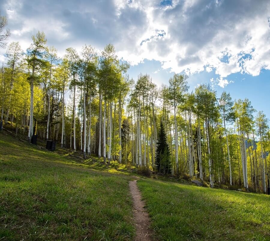 48 Hours in Vail: A Summer Itinerary 48 Hours in Vail: A Summer Itinerary