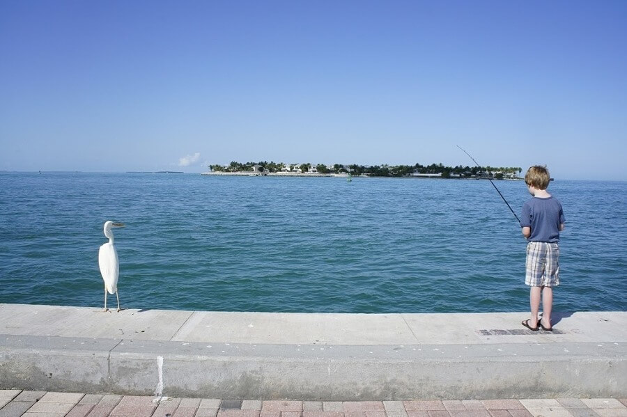 Rent some poles and fish off the pier or charter a boat for more serious fishing. Rent some poles and fish off the pier or charter a boat for more serious fishing.