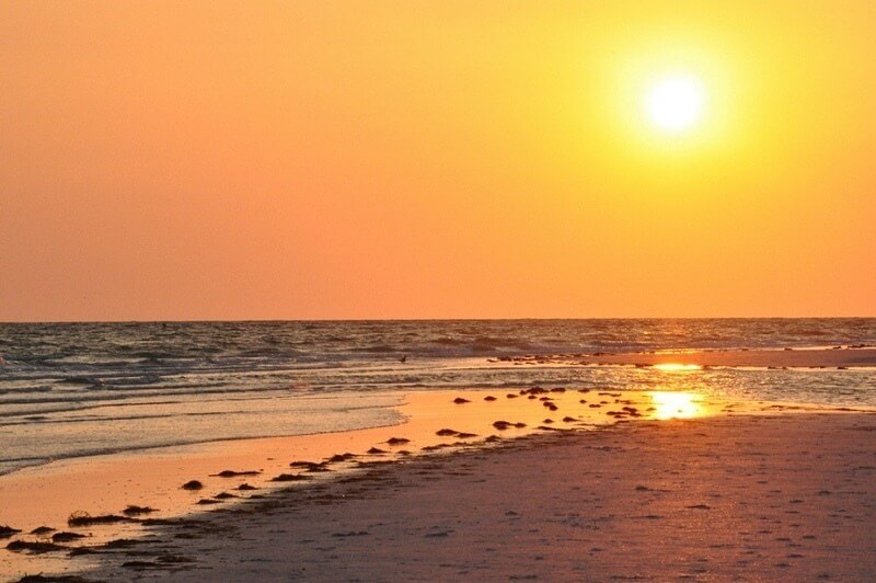 48 Hours in Sarasota, FL