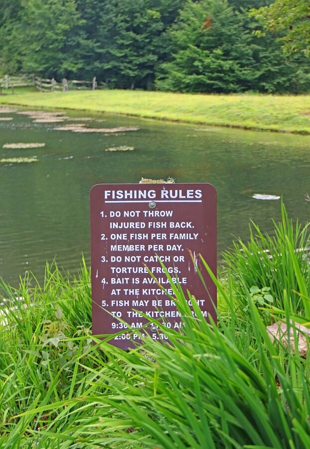 Make sure you read the rules, especially the part about torturing frogs. Make sure you read the rules, especially the part about torturing frogs.