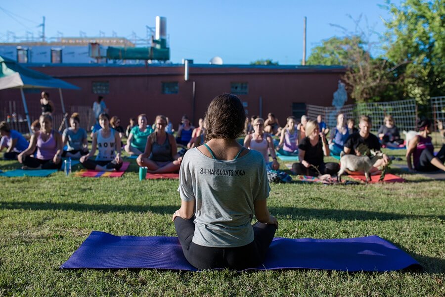 Shenanigoats is bring goat yoga to Nashville! Shenanigoats is bring goat yoga to Nashville!