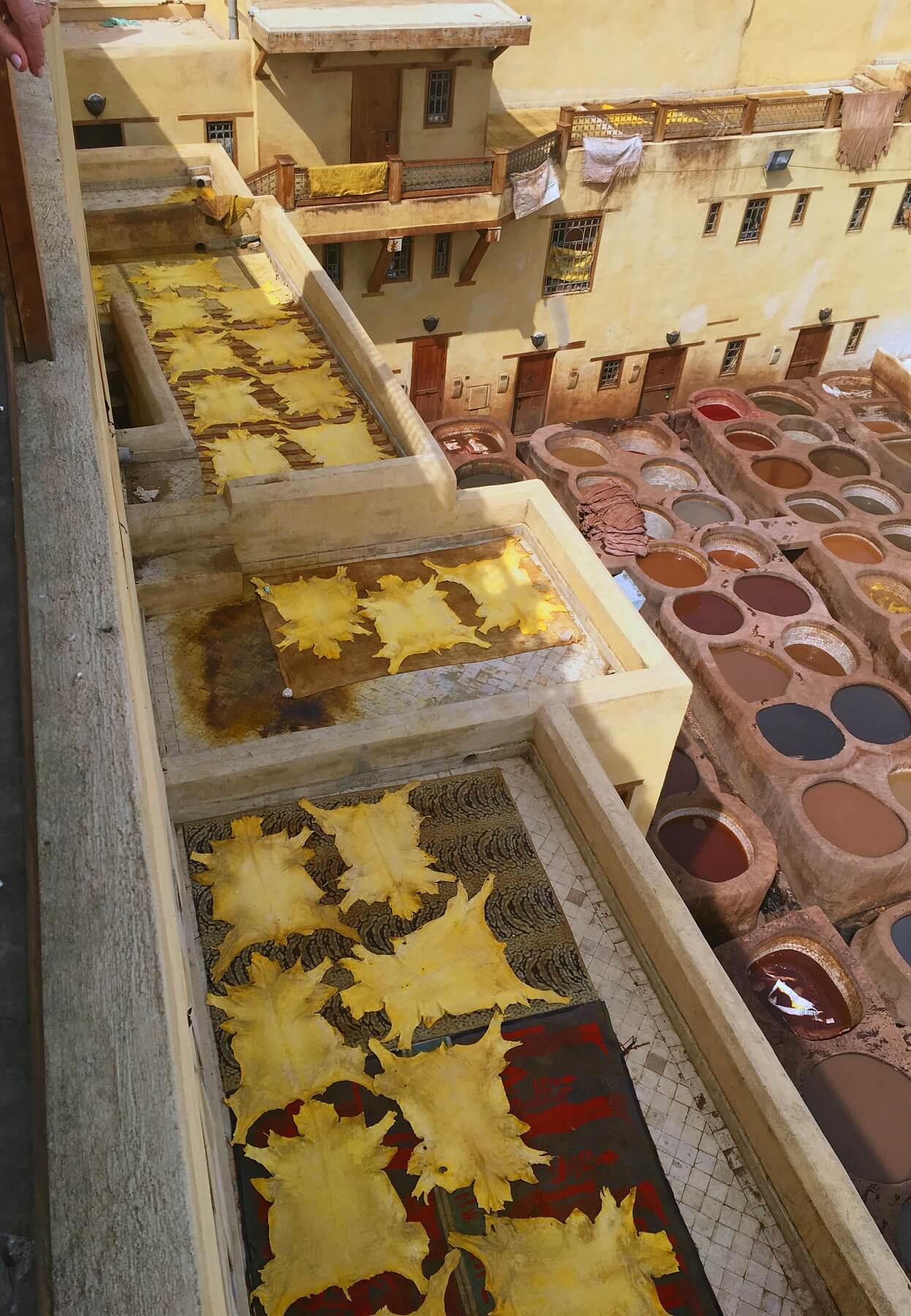 Leather hides dry in the sun at the tannery in Fez.