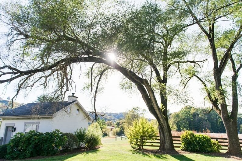 Walk the grounds and take in the beautiful views the property offers. Walk the grounds and take in the beautiful views the property offers.