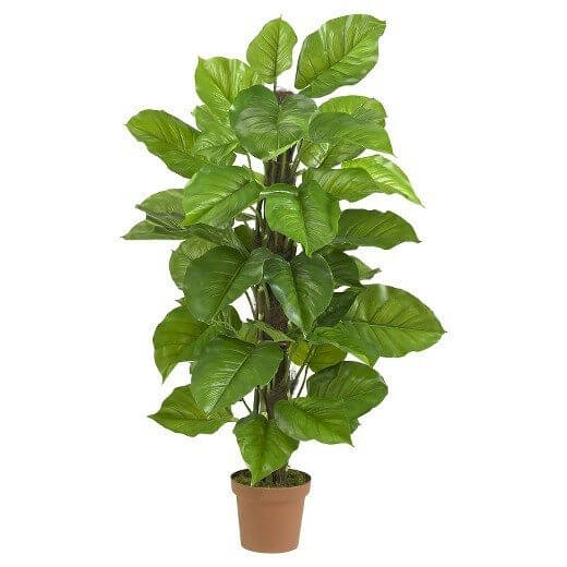 Faux greens are another easy option for adding some life to your at-home sanctuary. Opt for one, large plant to take up a ton of space and make a gorgeous statement. This, at Target, is $88.99. Details here Faux greens are another easy option for adding some life to your at-home sanctuary. Opt for one, large plant to take up a ton of space and make a gorgeous statement. This, at Target, is $88.99. Details here