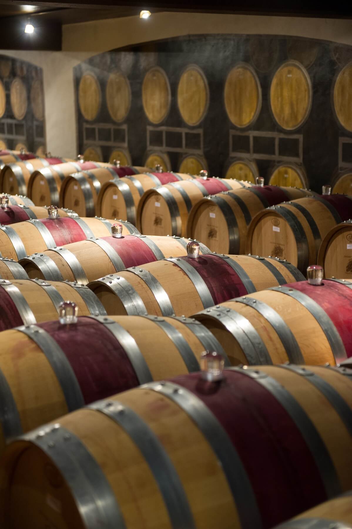 Becker Vineyards in Fredericksburg
