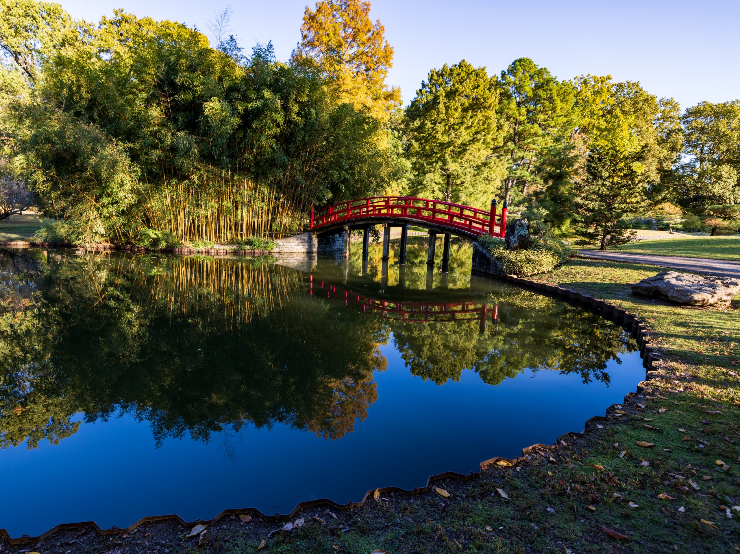 A red arched footbridge crosses a pond surrounded by trees and greenery, with clear reflections on the water in a serene Memphis Botanic Garden setting.