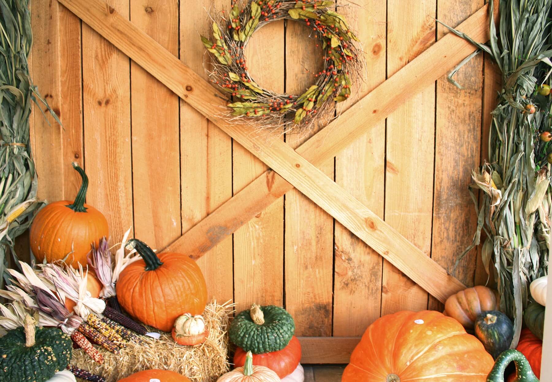 Use corn stalks to frame a door, and play with different types of pumpkins to add texture and color.
