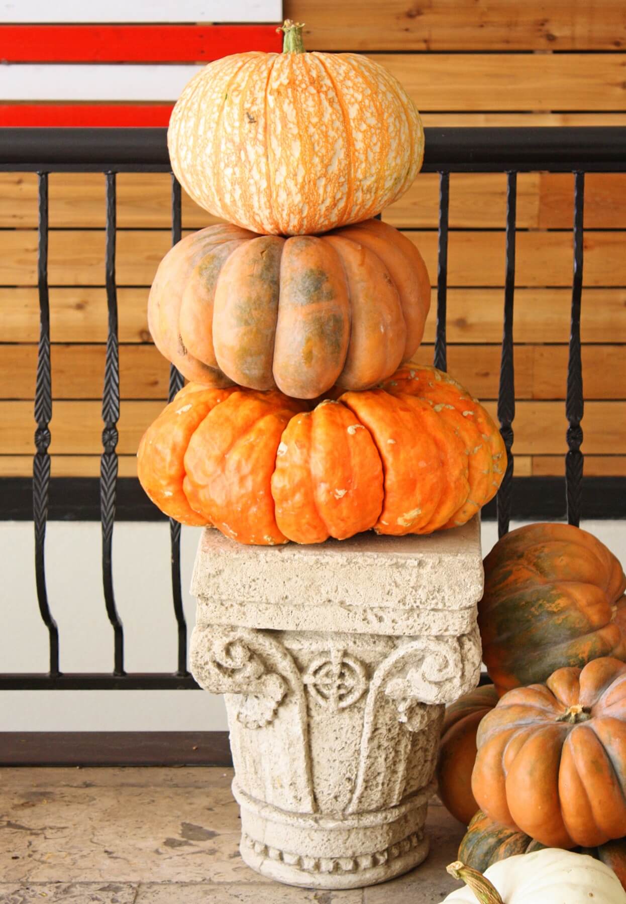 To build a pretty pumpkin stack, look for pumpkins in different circumferences with short, or better yet, without stems.