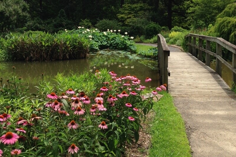 Memphis Botanic Garden 3