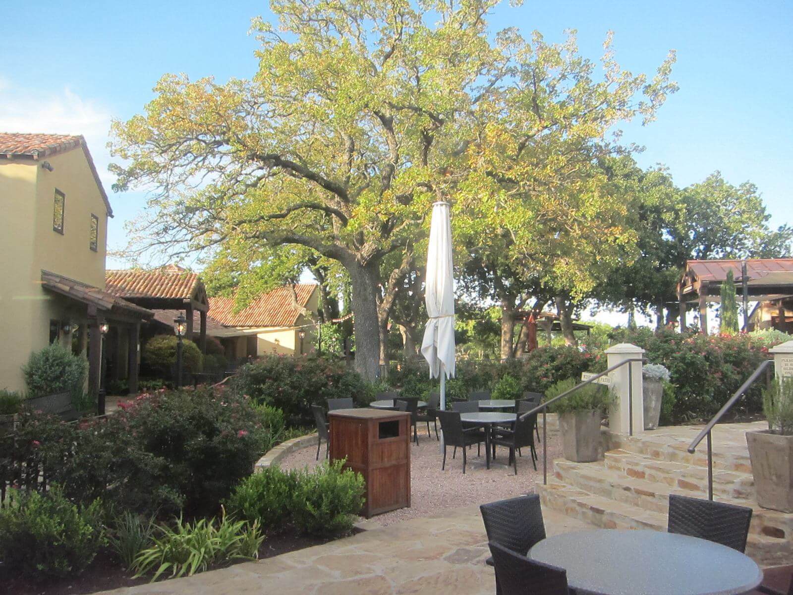 Grape Greek patio in Fredericksburg