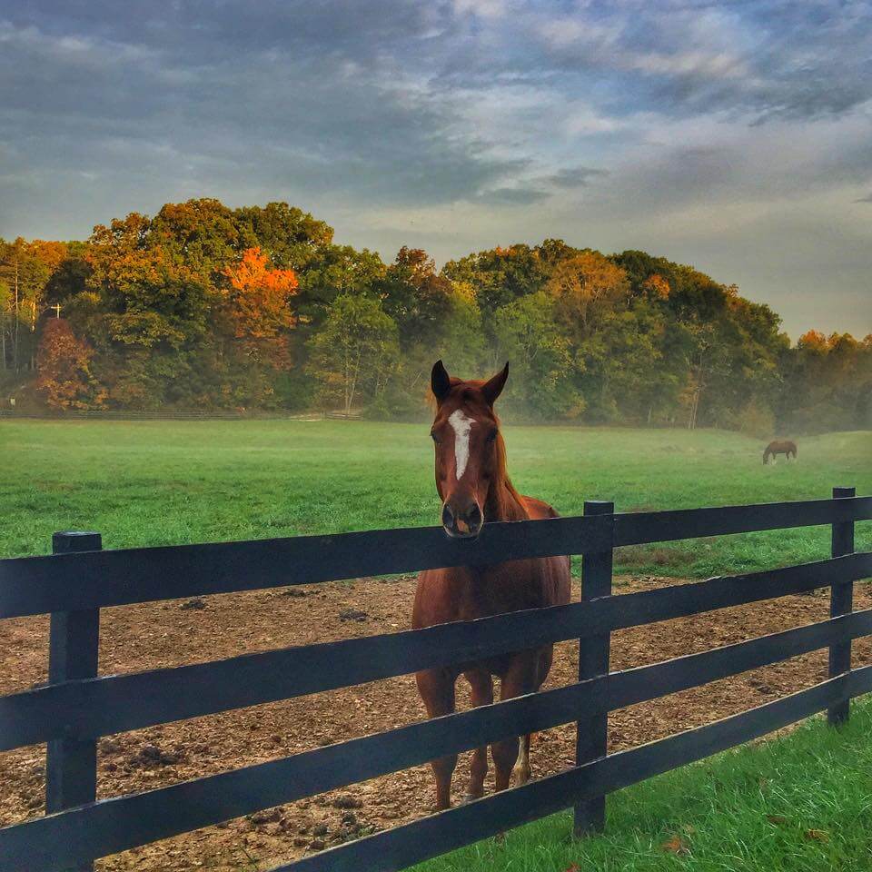 Helmsburg Road | Image: Danny Key Day trips from Louisville