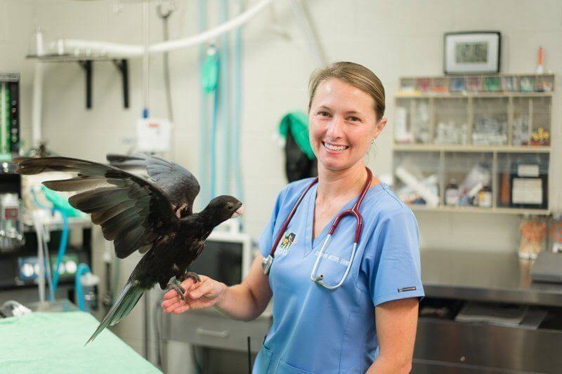 Dr. Stephanie McCain, Director of Animal Health at the Birmingham Zoo <br/> "If you really want to achieve a goal, you need to be persistent and jump in with both feet."