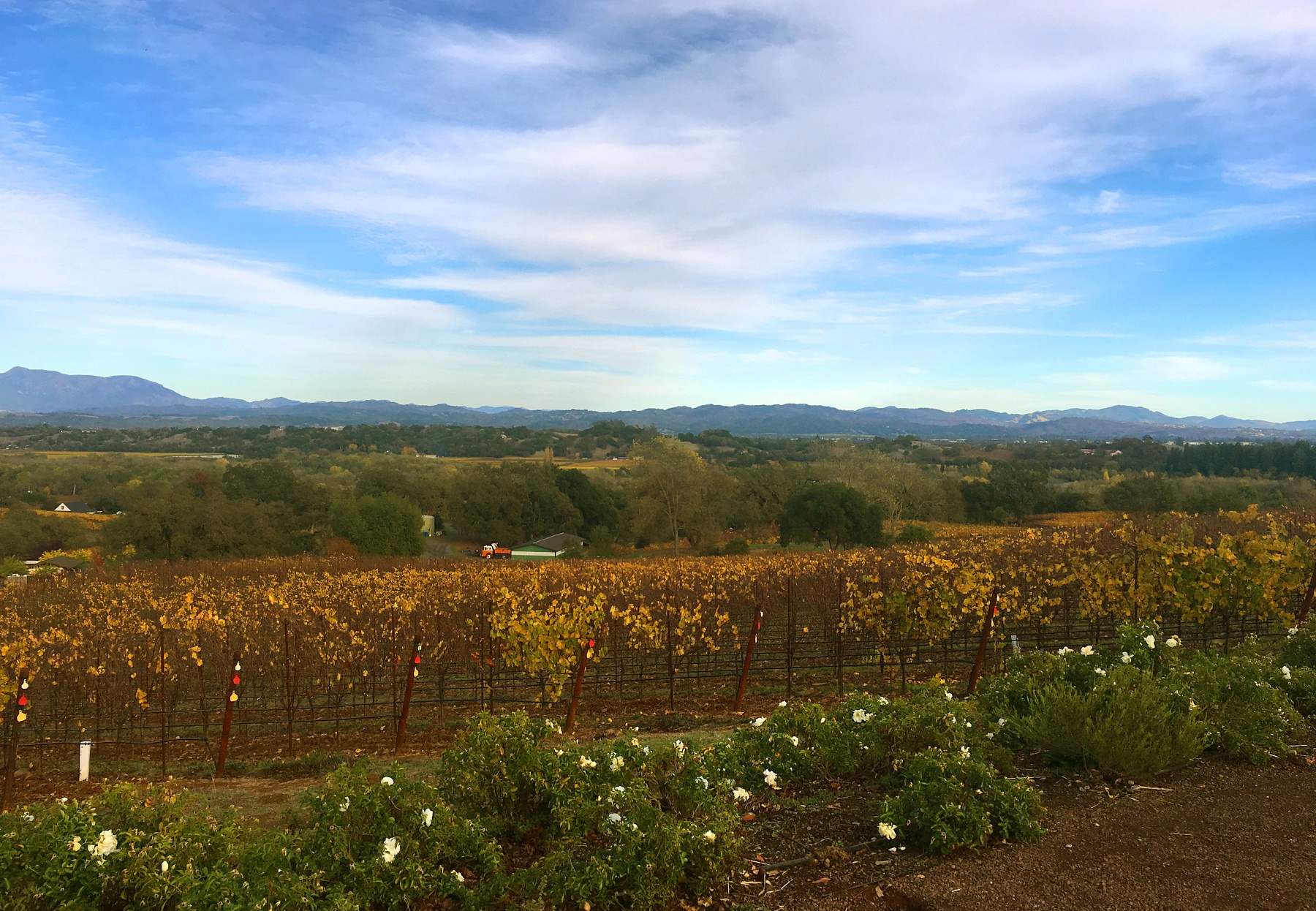 Take the ultimate girlfriends getaway in Healdsburg, CA
