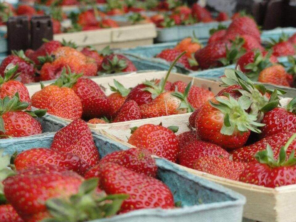 Donelson's farmers market is a must visit this summer Donelson's farmers market is a must visit this summer