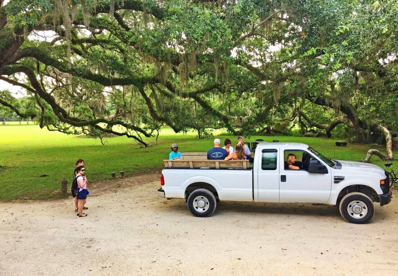 Greyfield often feels like summer camp for adults, with naturalist outings taking off from the front door in an open-bed truck.