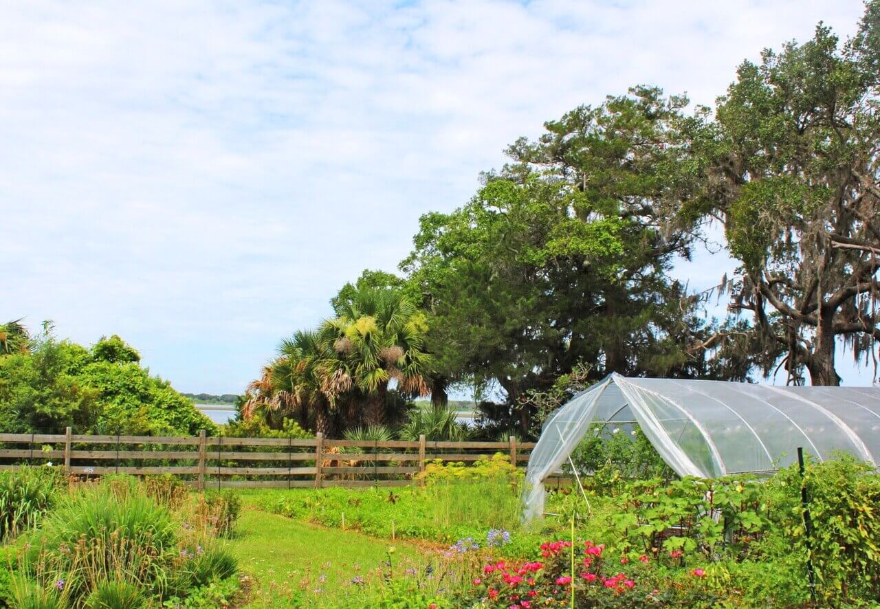 The acres of flowers and vegetables grown at the Greyfield Inn are used not only on the island, but in restaurants in Fernandina Beach.