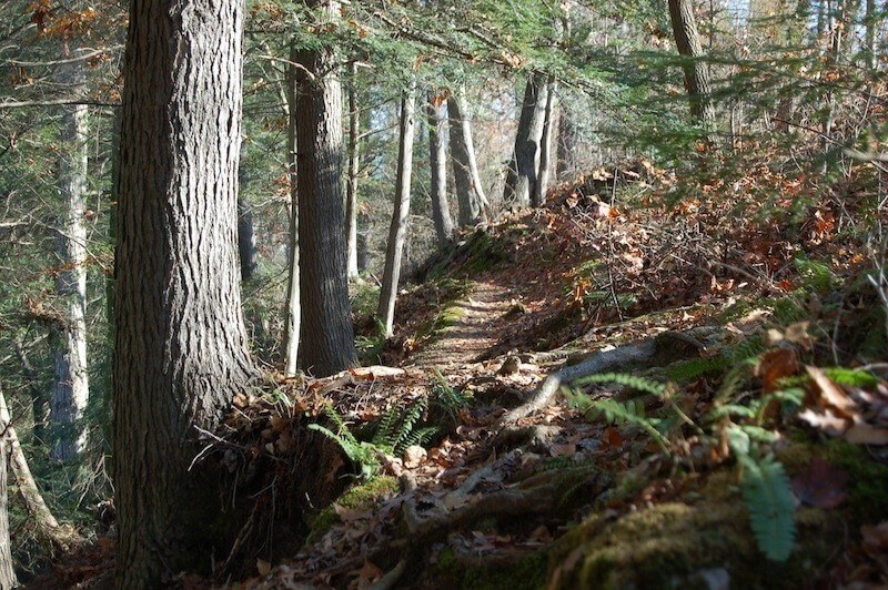 Pack your hiking boots for a trip to Evins Mill