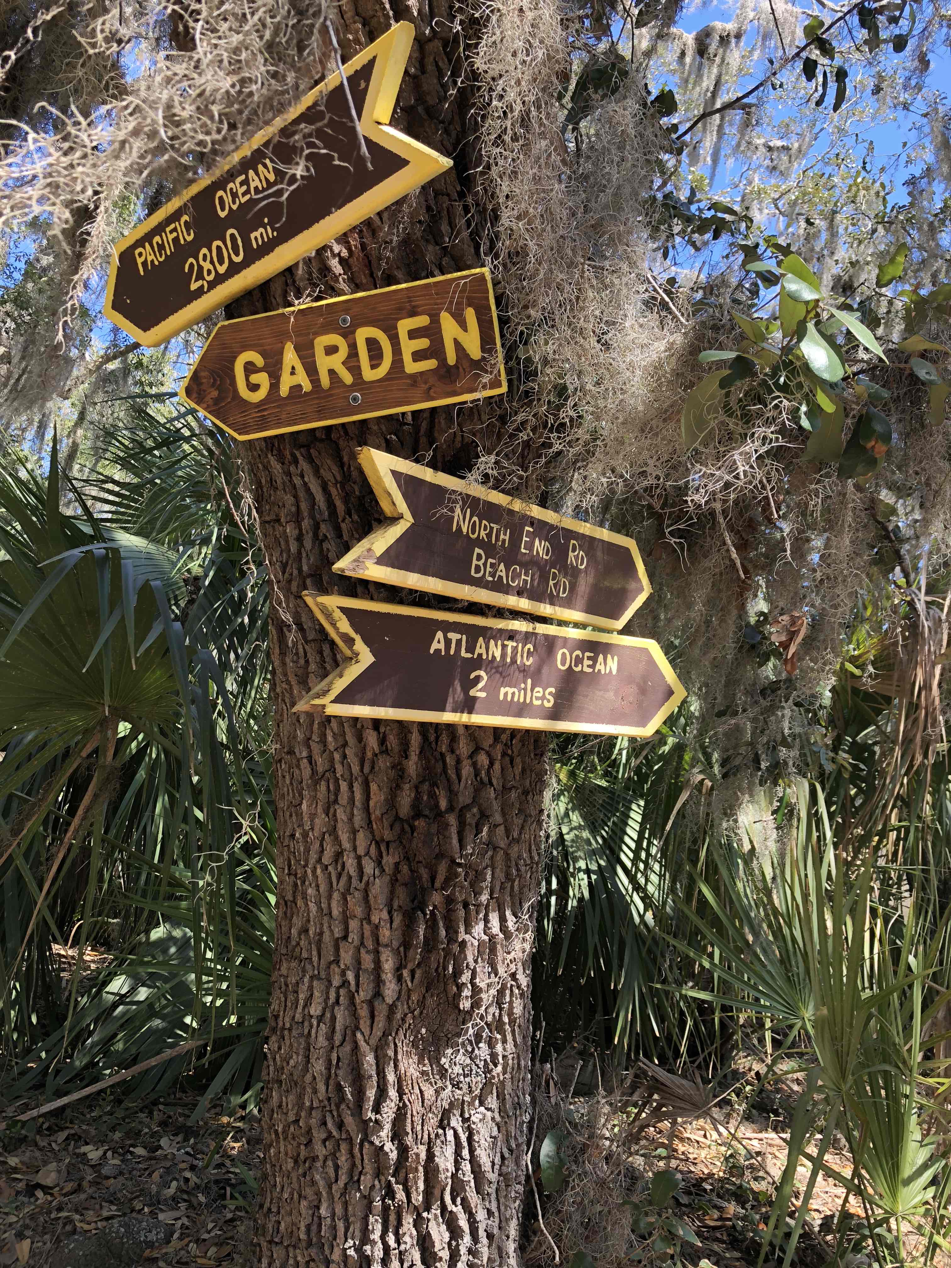 Little St. Simons Island