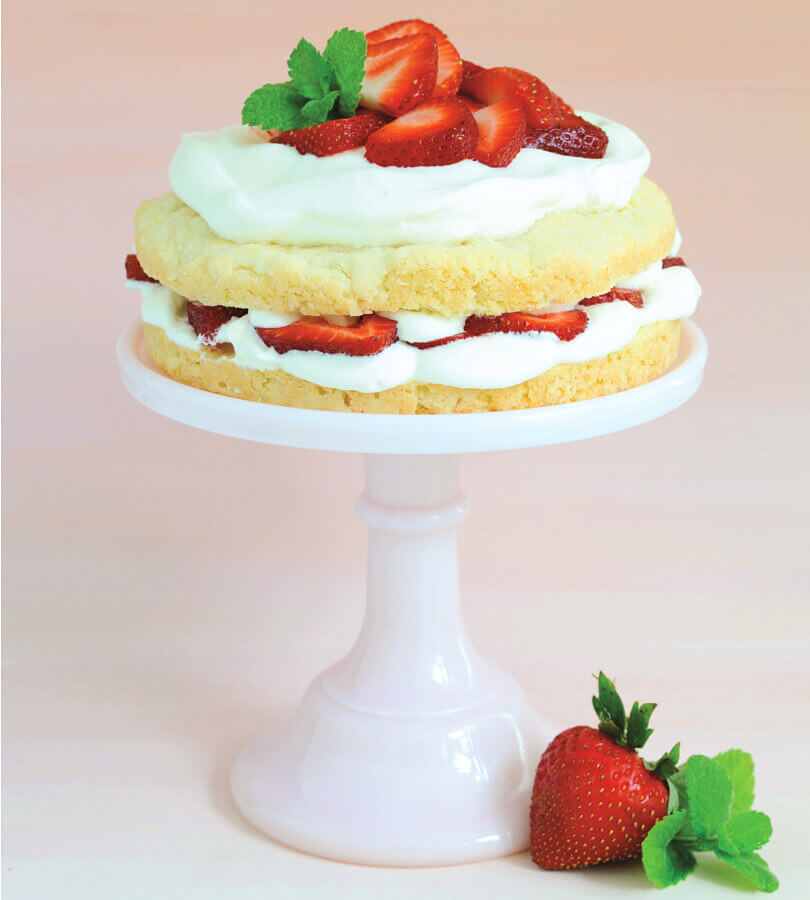 Strawberry Shortcake Katie Jacobs